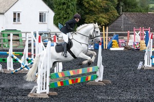 Class 5 - Fences not above 2'6